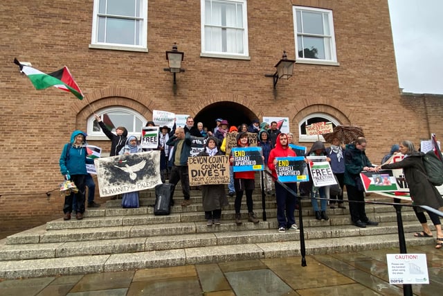 Pro-Gaza protestors petition County Council 
