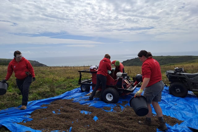 Southdown Farm completes first harvest of wildflower seeds
