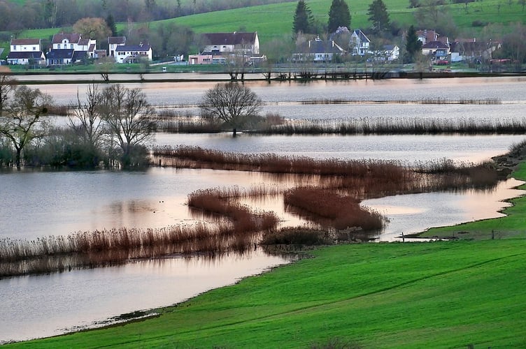 flood Image by Yves Bernardi from Pixabay