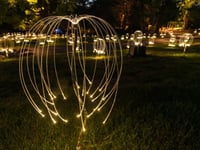 Bruce Munro works to go on display at Velarde