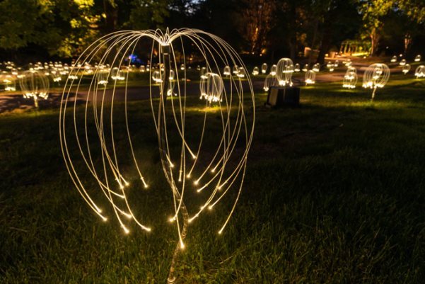 Bruce Munro works to go on display at Velarde