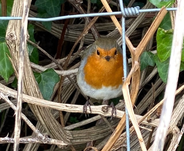 Village Voice | October 10