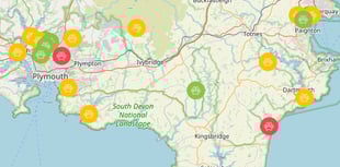 Pawsome map pin points best dog walks