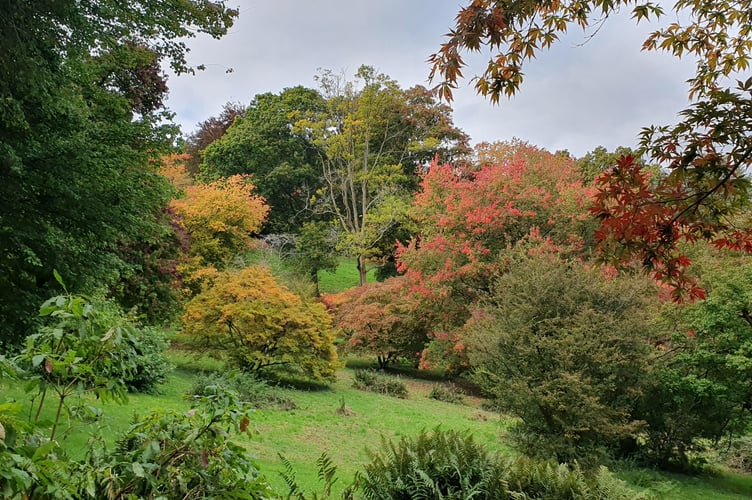 Nature Diary 06.11.2024 Winksworth Abortetum small - Alice Henderson