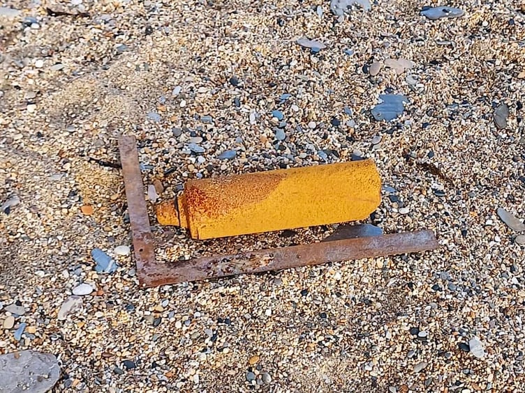 A member of the public who stumbled on the anti-personnel mine raised the alert