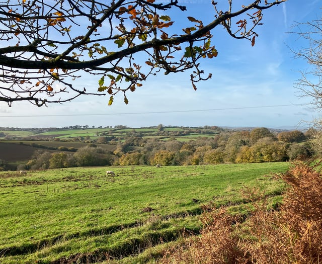 Devon Food Partnership to attend Oxford Real Farming Conference 