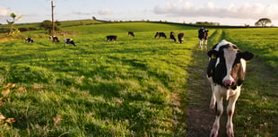 Sort out ‘tax dodge’ farmers’ call from Devon MPs
