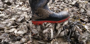 Biosecurity: why prevention matters most