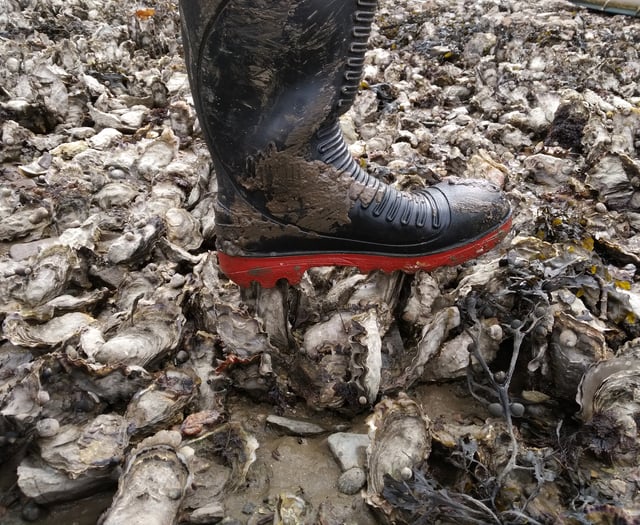 Biosecurity: why prevention matters most