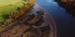 Turning the tide on salt marsh loss 