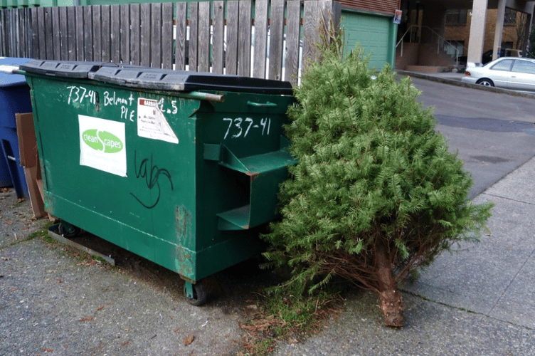 x-mas tree recycling