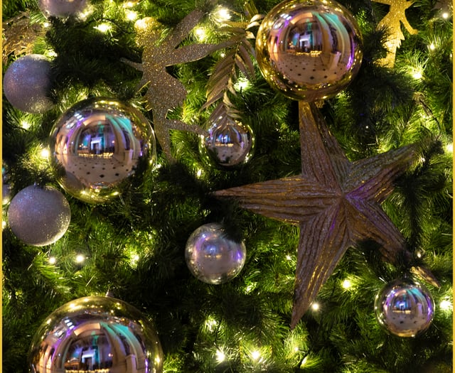 Devon & Cornwall Police launch festive safety campaign