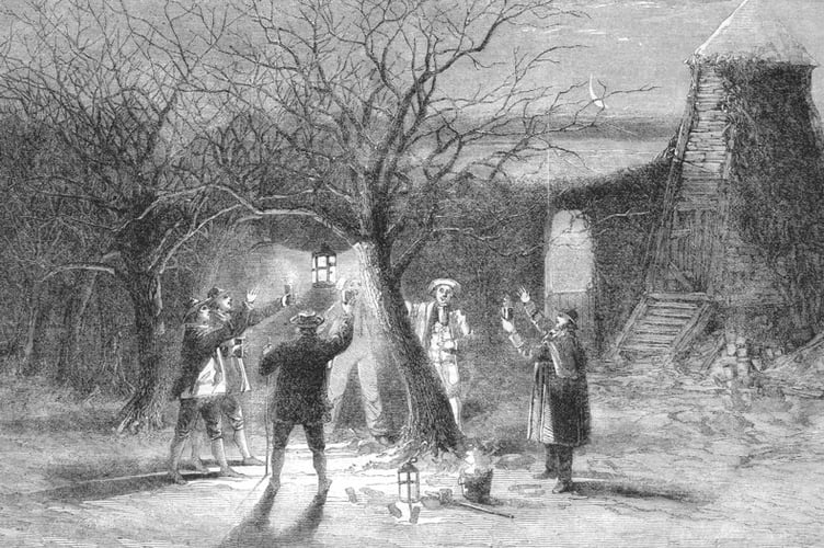 Wassailing the apple trees