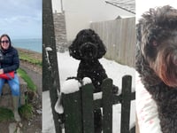 Treasured memories of beloved pet earns festive prize 