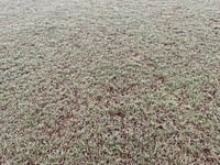 Frozen pitch thwarts Dartmouth AFC