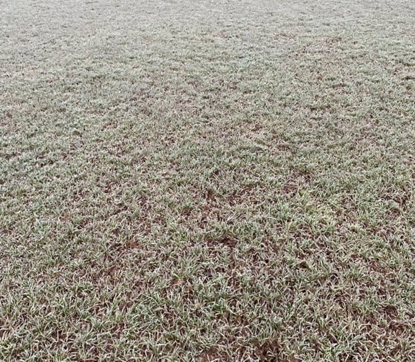 Frozen pitch thwarts Dartmouth AFC