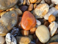 Nature Diary by Alice Henderson | Shorelines part two