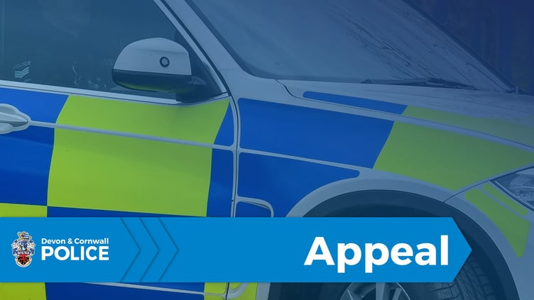 Police are appealing for information following an assault in Teignmouth.