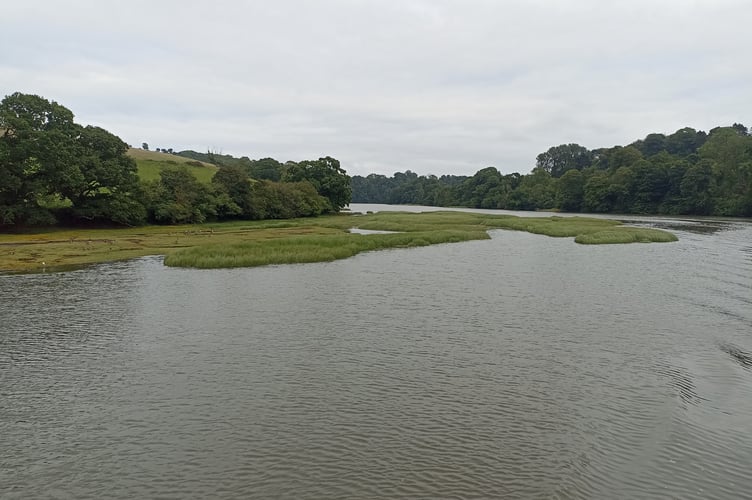 Dart Estuary - Nigel Mortimer