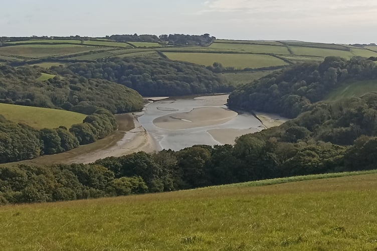 Avon Estuary - Nigel Mortimer