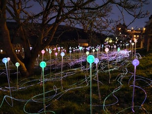 Salcombe welcomes back 200 lights