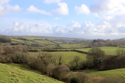 Countryside near Poughill