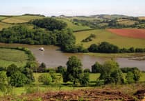 Sharpham Trust to restore riverside habitat
