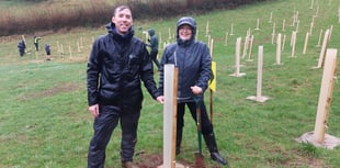 Bowden Pillars tree planting marks start of rainforest restoration