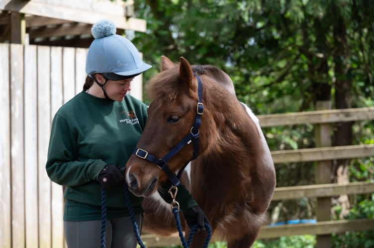 Thorn - Mare and Foal Sanctuary