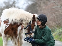 Rehome a pony and give another a lifeline