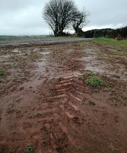 Caroline Snow | Soil erosion threatens food security