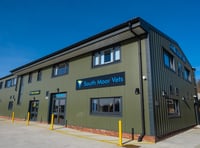 South Moor Vets joins XLVets as expansion continues