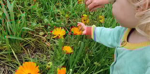 Common Flora earns accreditation for farm education