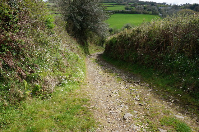 Bridleway from Didworthy to Lutton Jeff Collins