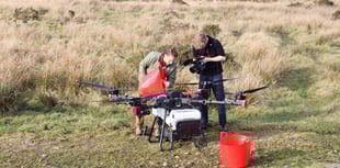 Drones plant 75,000 tree seeds in UK