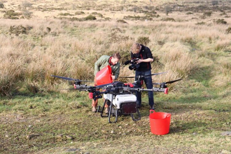 Seed fill - HereNowFilms