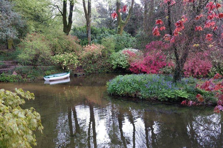 Azaleas and boat reflections