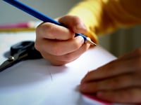 Devon launches new HAF booking system