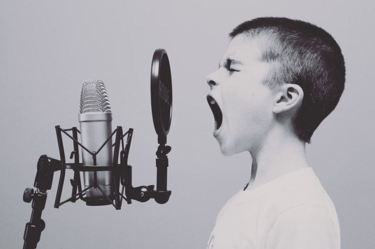 Police attended close to 4,000 noise complaints in 2024, the FOI shows