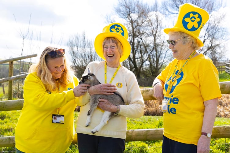 Marie Curie Name the goat photoshoot at Pennywell Farm near Buckfastleigh, Devon