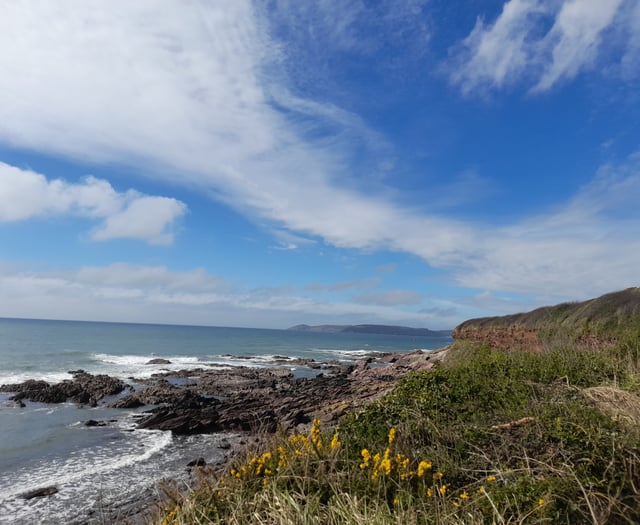 Discover invertebrates on South West coast walk