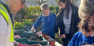 Sunflower competition for local schools