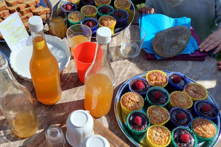 Splendid homemade refreshments awaiting us at Ham Farm - Fiona van Es