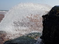Devon MPs demand action on sewage spill
