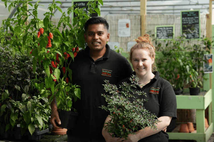 South Devon Chilli Farm