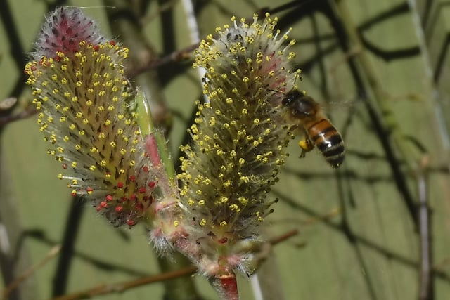 Nature through the lens with photography competition