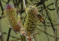 Budding photographers recognised for their eye for the outdoors