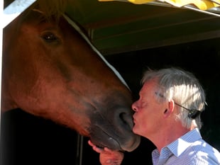 Martin Clunes opens horse event at Devon County Show