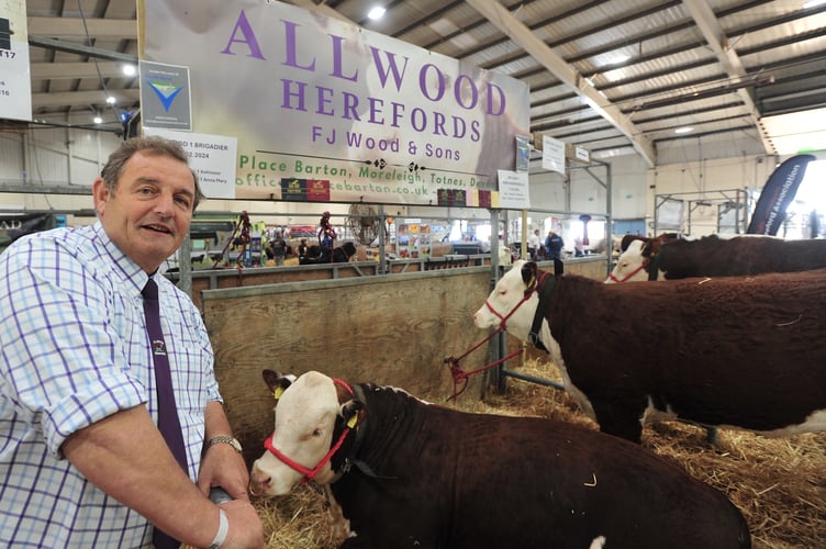 Devon County Show. Farmer Gerald Wood from Place Barton Farm at Moorleigh and his Herefords at the show