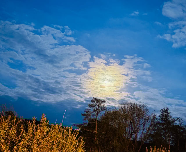 Letters to the Editor | May 29 